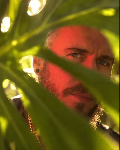 A bearded man's face seen through slits in a glowing monstera leaf, red flash light on one cheek