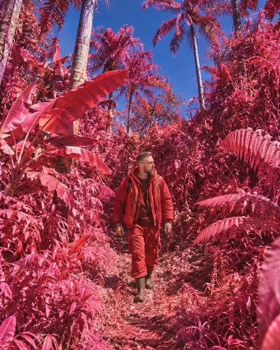 Wide view of a small red figure walking through a pink infrared jungle under bright sun