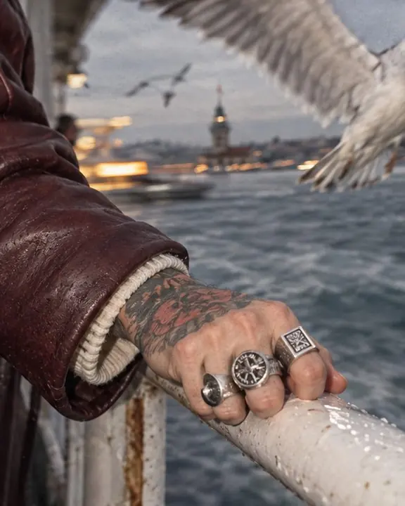 Heavy silver rings on a hand on a ferry railing, a gull's wing caught by flash beside them