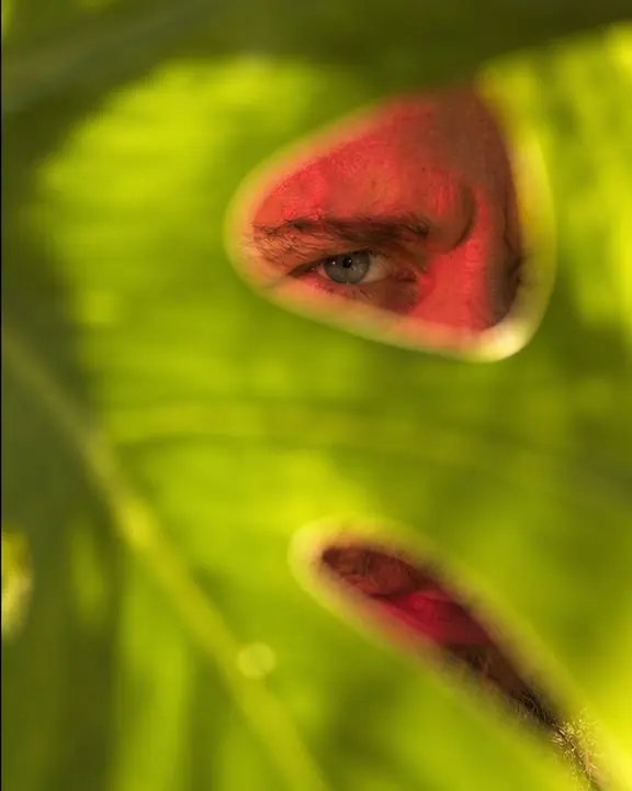 One eye of a bearded man visible through a hole in a monstera leaf, everything else glowing green
